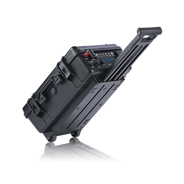 CBX系列 便携式蜜桃网站入口池UPS